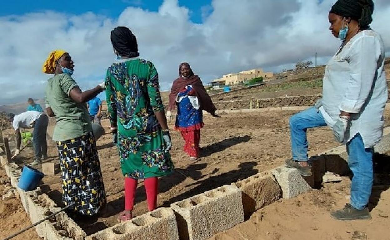 Mujeres mauritanas aprenden en Fuerteventura a sacarle partido a un huerto