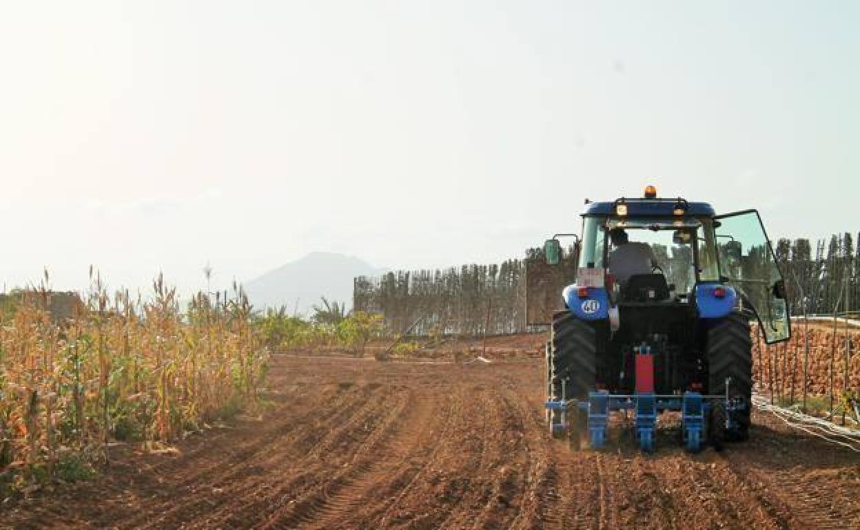 Imagen de archivo de un tractor arando. 