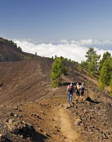 Imagen secundaria 2 - Rutas guiadas de senderismo hacia el volcán. 