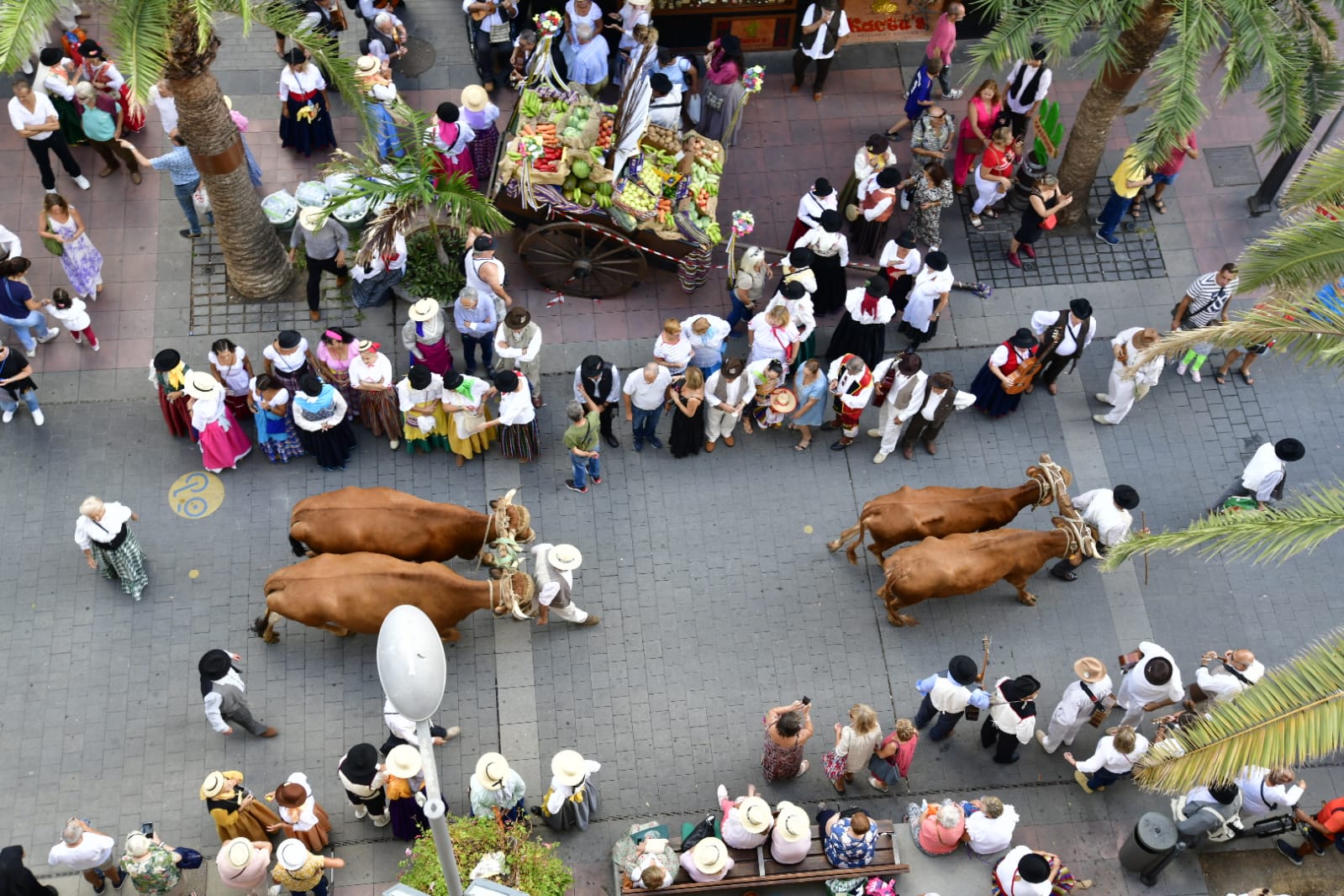 Fotos: Vuelve la romeria de La Nava