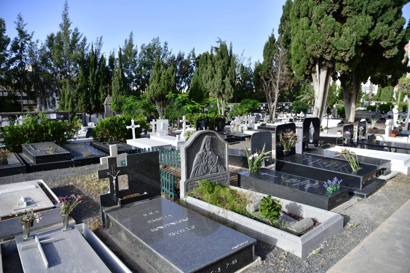 Fotos: Las flores se adueñan de los cementerios