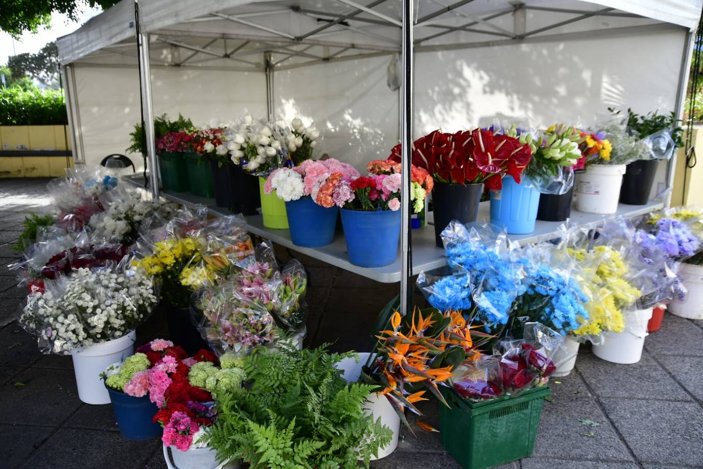 Fotos: Las flores se adueñan de los cementerios