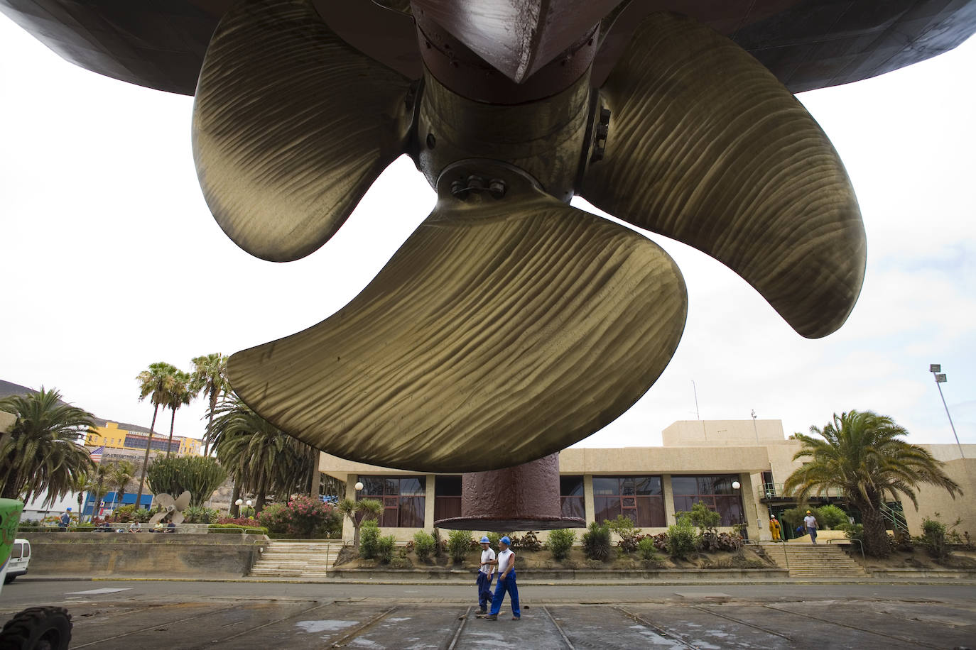 Fotos: Toda una trayectoria en 46 fotografías