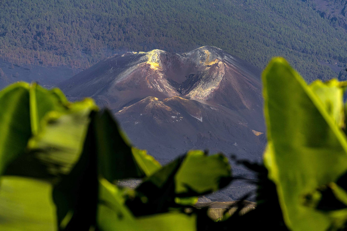 Fotos: Toda una trayectoria en 46 fotografías