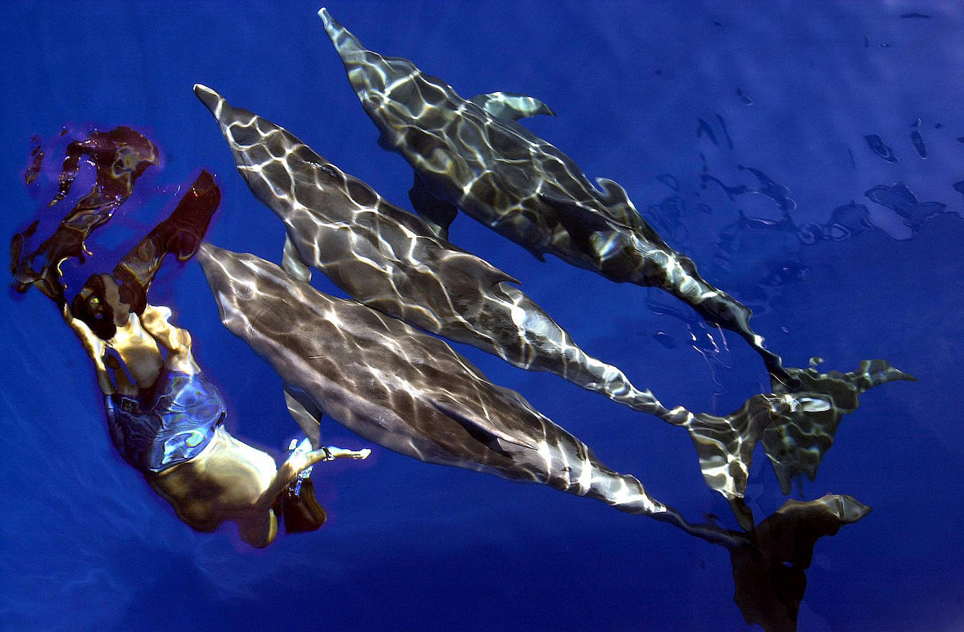 Fotos: Toda una trayectoria en 46 fotografías