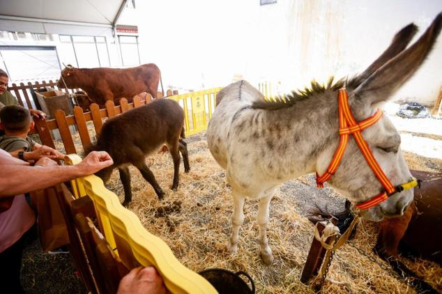 Fotos: Ambiente festivo para despedir la Feria del Sureste