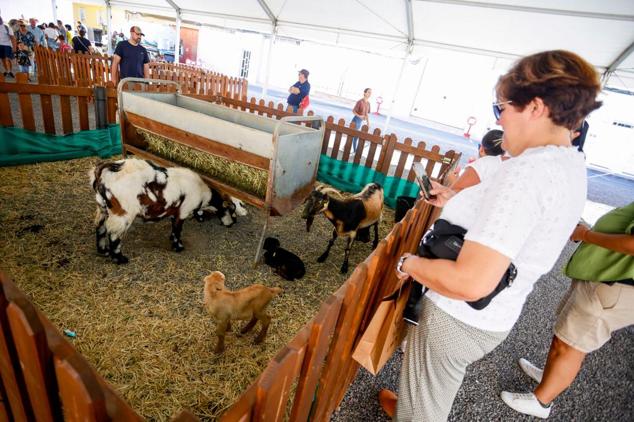 Fotos: Ambiente festivo para despedir la Feria del Sureste