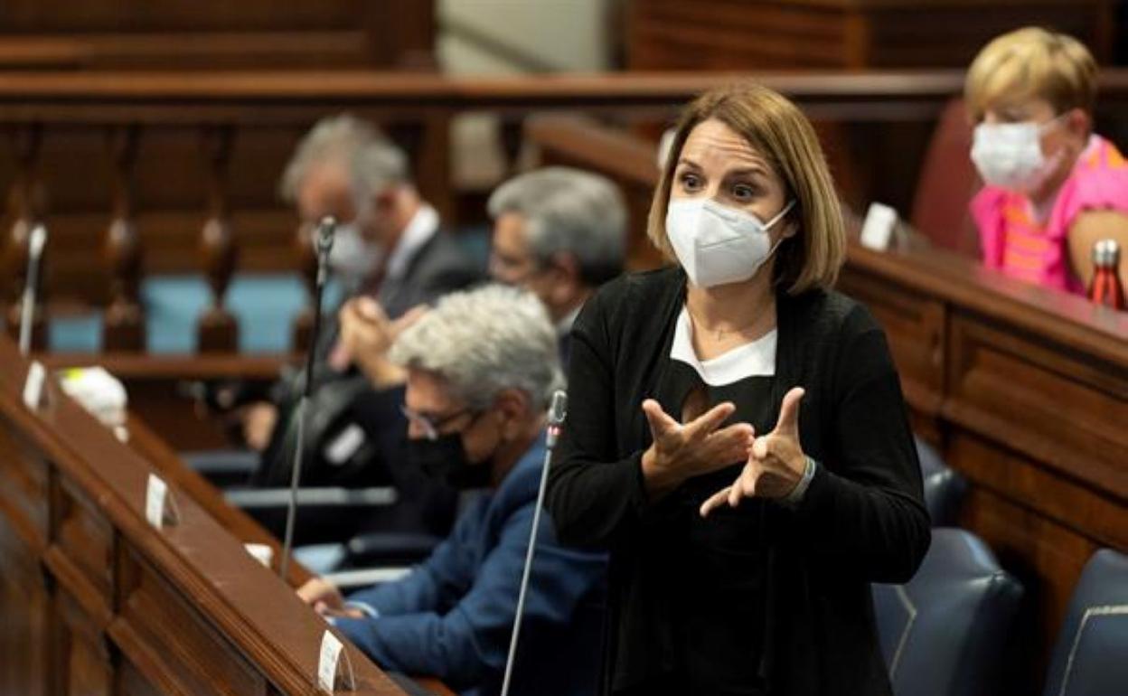 Santana: «Es un problema que muchas familias se vean abocadas a abandonar a sus mayores»