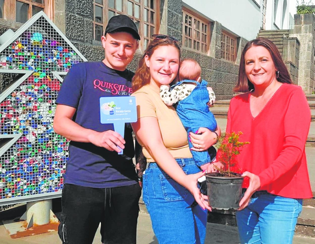 El árbol de la vida de Teror