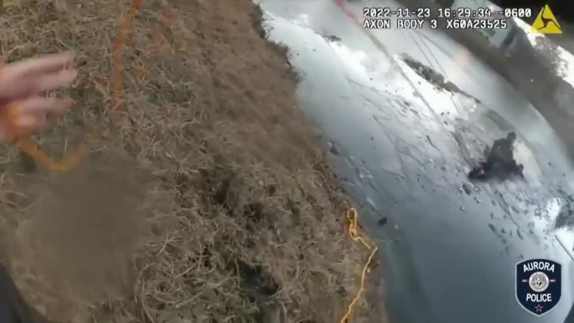 Policías rescatan a una madre y a un hijo de un lago congelado en Illinois
