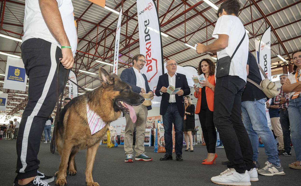 El presidente del Cabildo, Antoniio Morales, inauguró la feria este sábado. 