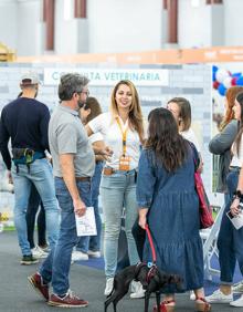 Imagen secundaria 2 - Animundo cierra apelando a la responsabilidad al tener mascotas