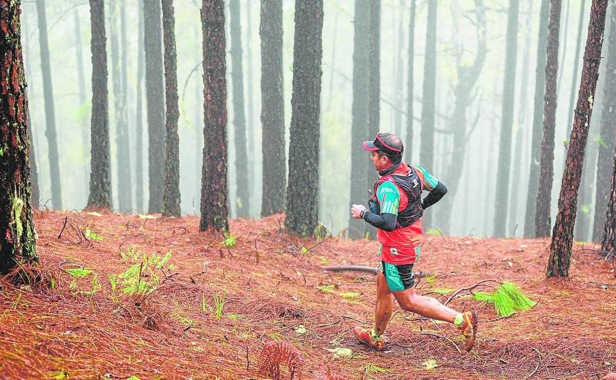 Imagen de archivo de un corredor en una prueba de la Tamadaba Trail. 