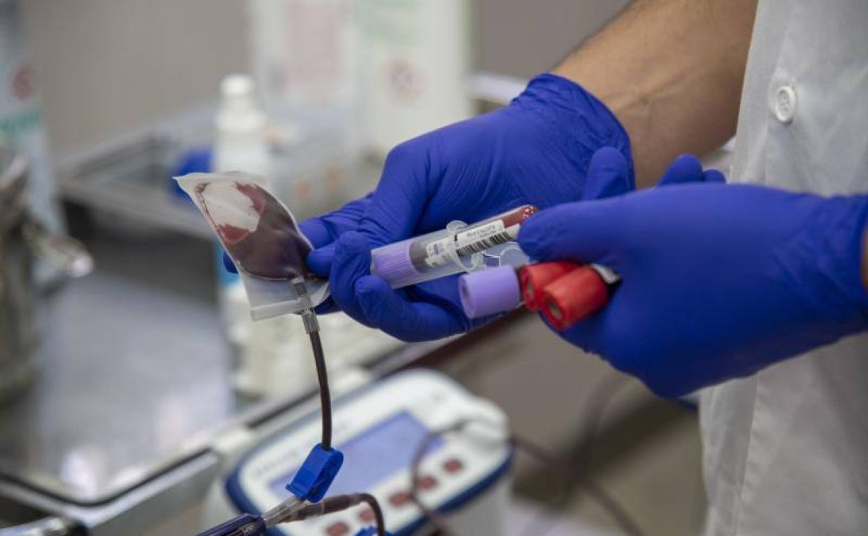 Sanidad llama a donar sangre ante la llegada del puente