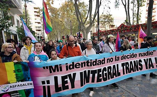 Imagen de una de las manifestaciones que recorrieron las ciudades españolas en defensa de la ley trans 