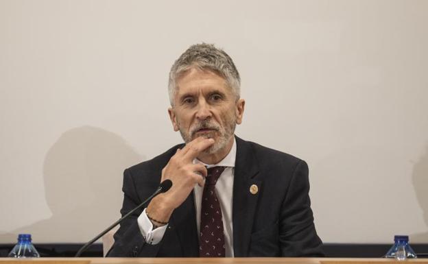 Fernando Grande-Marlaska, en su comparecencia. /Efe
