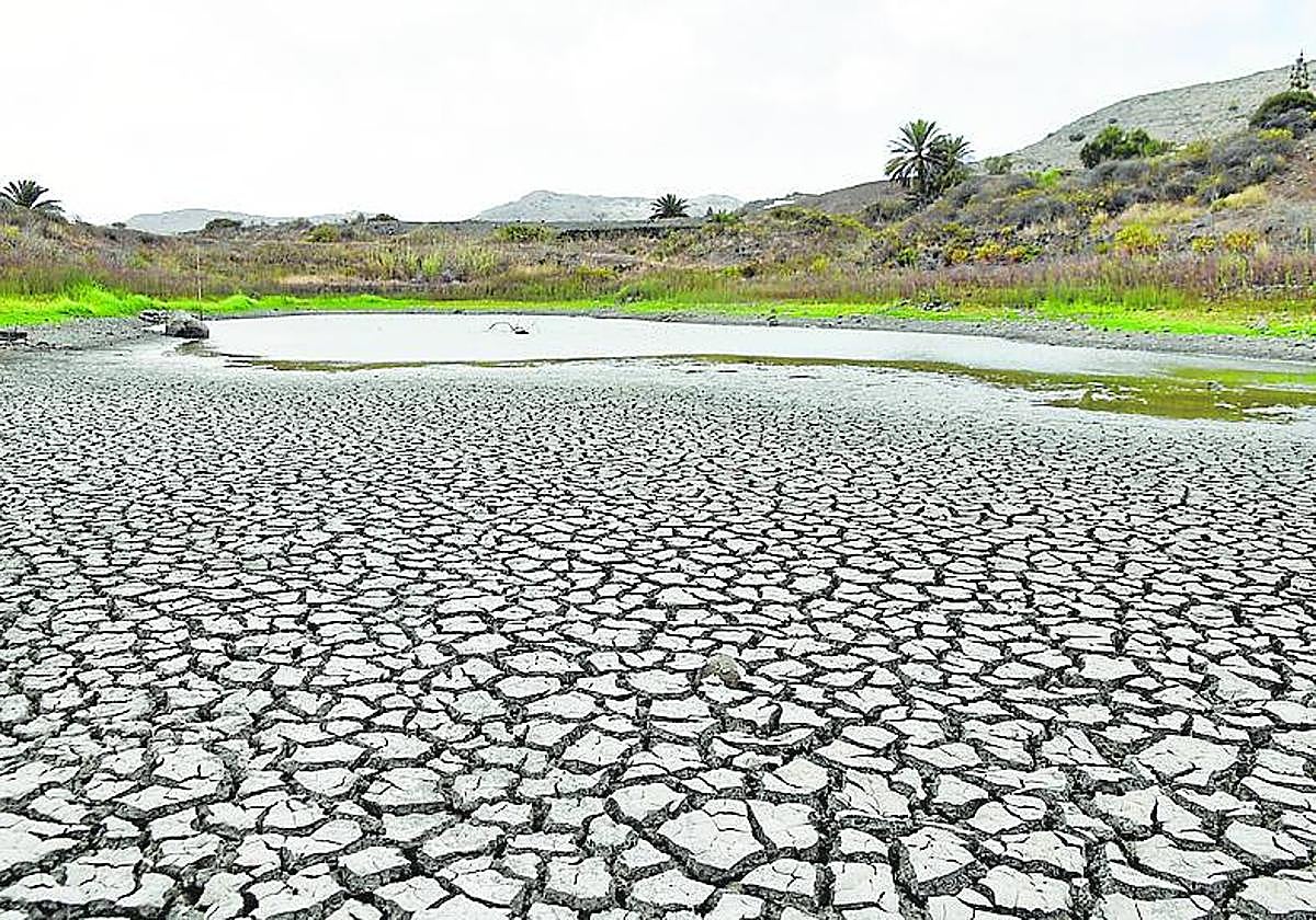 Canarias tuvo un carácter normal en zonas bajas y frío en zonas altas.