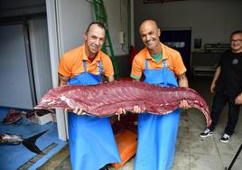 Un atún de 350 kilos para el deleite