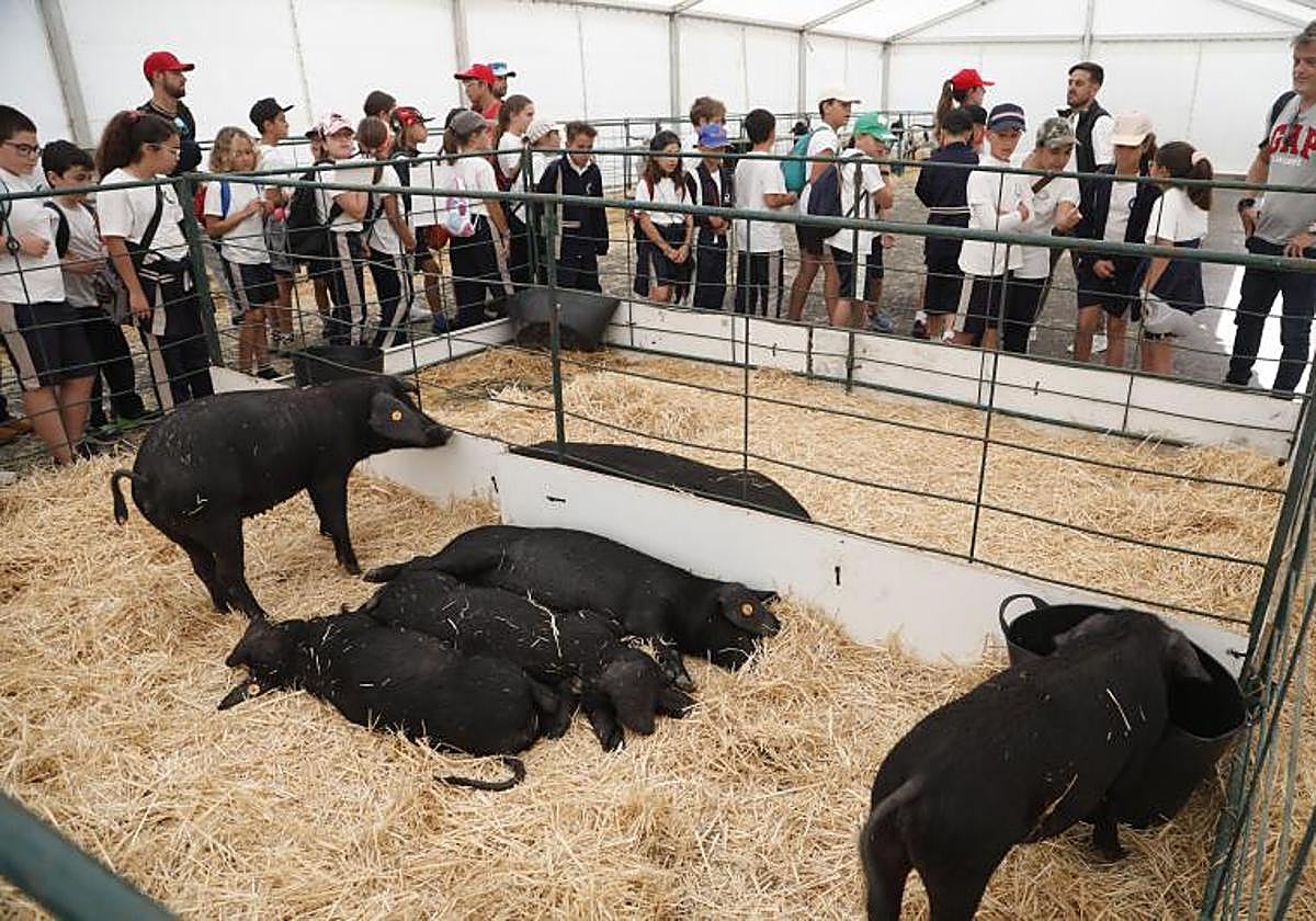 Escolares en la Feria, este viernes.