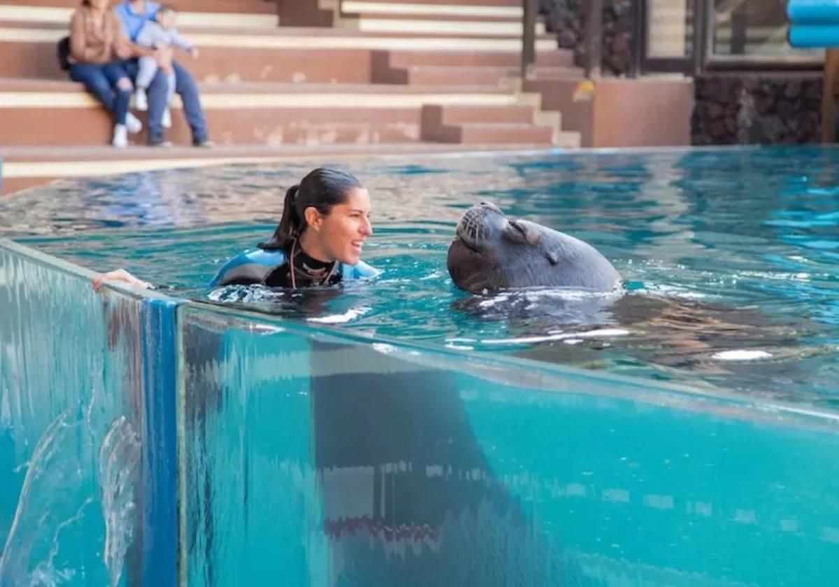 El Oasis Wildlife de La Lajita busca personal... y vivienda para sus futuros trabajadores