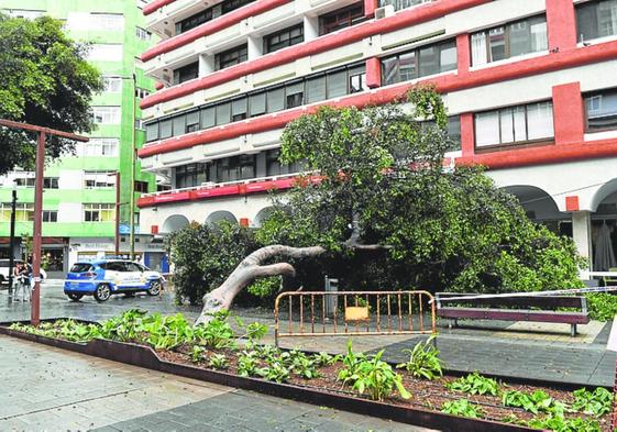Cs exige un plan especial para prevenir los daños que se repiten en cada temporal