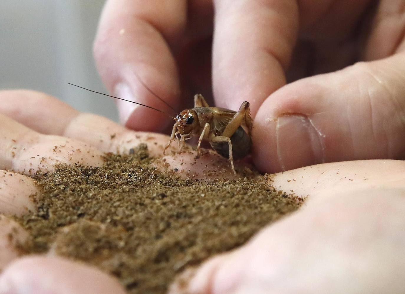 El día, en imágenes