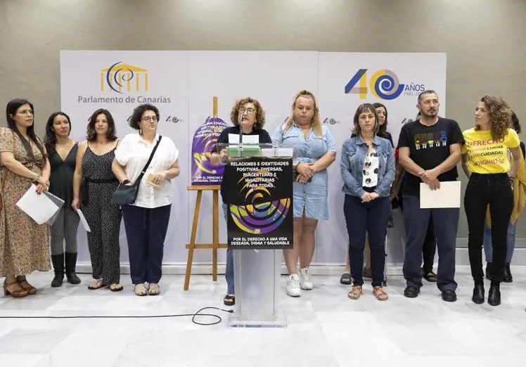 Un momento de la rueda de prensa en el Parlamento de Canarias.