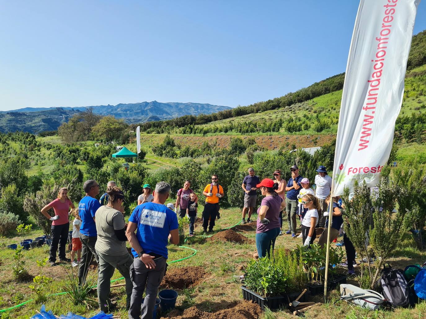 Fundación Foresta y el Colegio de Veterinarios de Las Palmas concluyen la Campaña de Reforestación 2022/2023