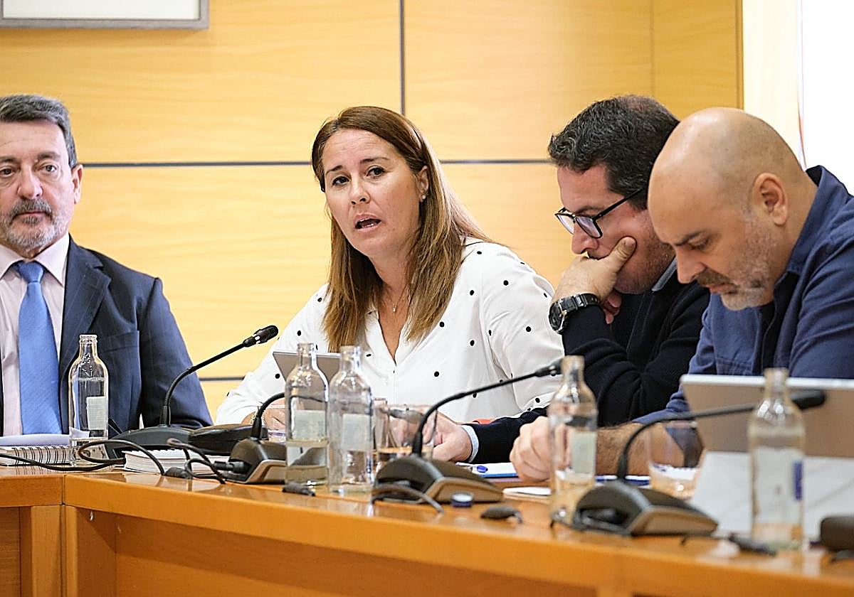 Lola García, durante una intervención en el pleno.