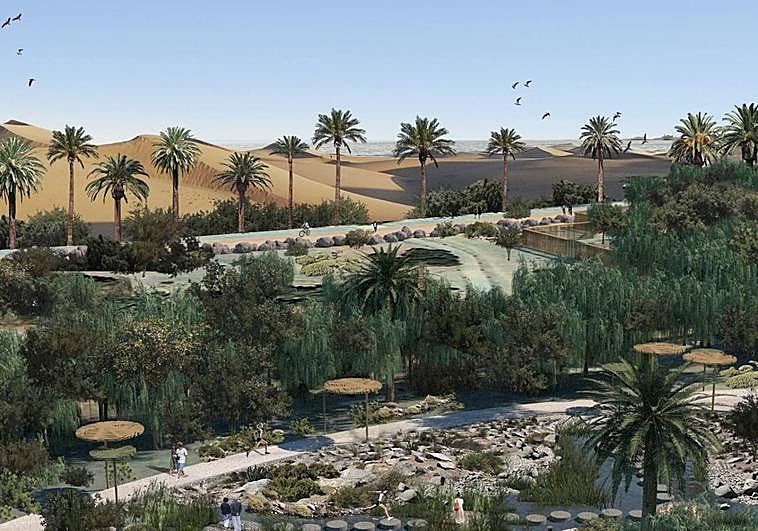 Recreación del palmeral de Maspalomas una vez ejecutado el proyecto para su mejora.