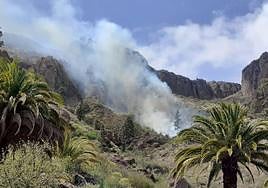 Imagen del humo producido por el conato de incendio en la Presa de Soria.