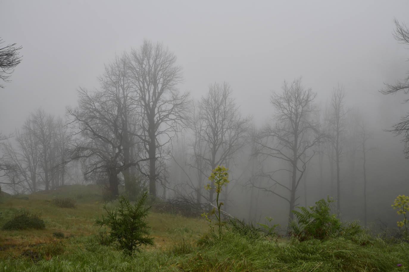 Las familias disfrutan de unas vacaciones diferentes acampando en la cumbre