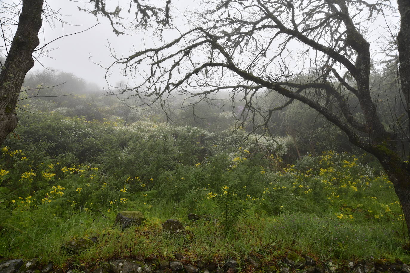 Las familias disfrutan de unas vacaciones diferentes acampando en la cumbre