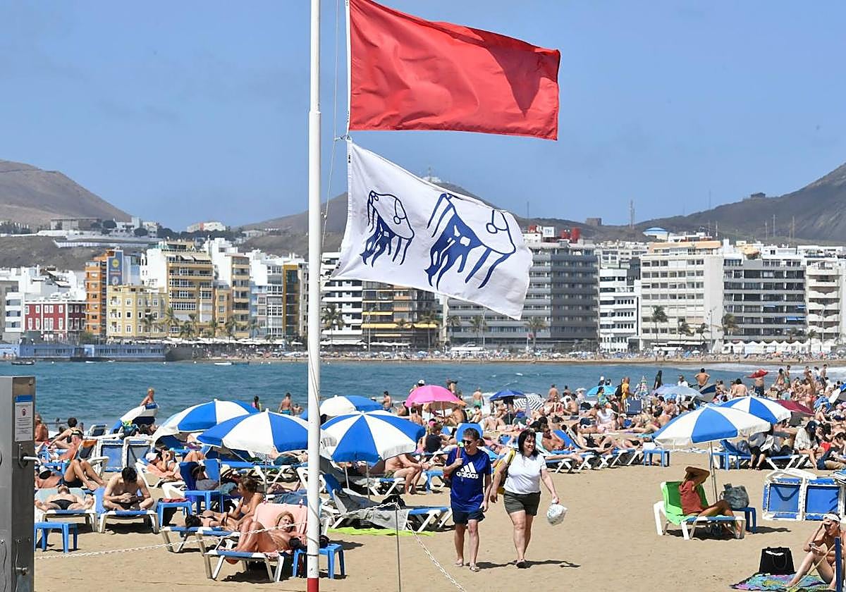Las Canteras, abarrotada pese a la bandera roja por aguavivas