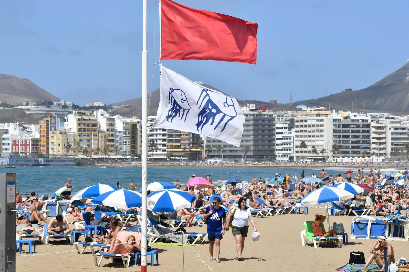 Las Canteras, abarrotada pese a la bandera roja por aguavivas