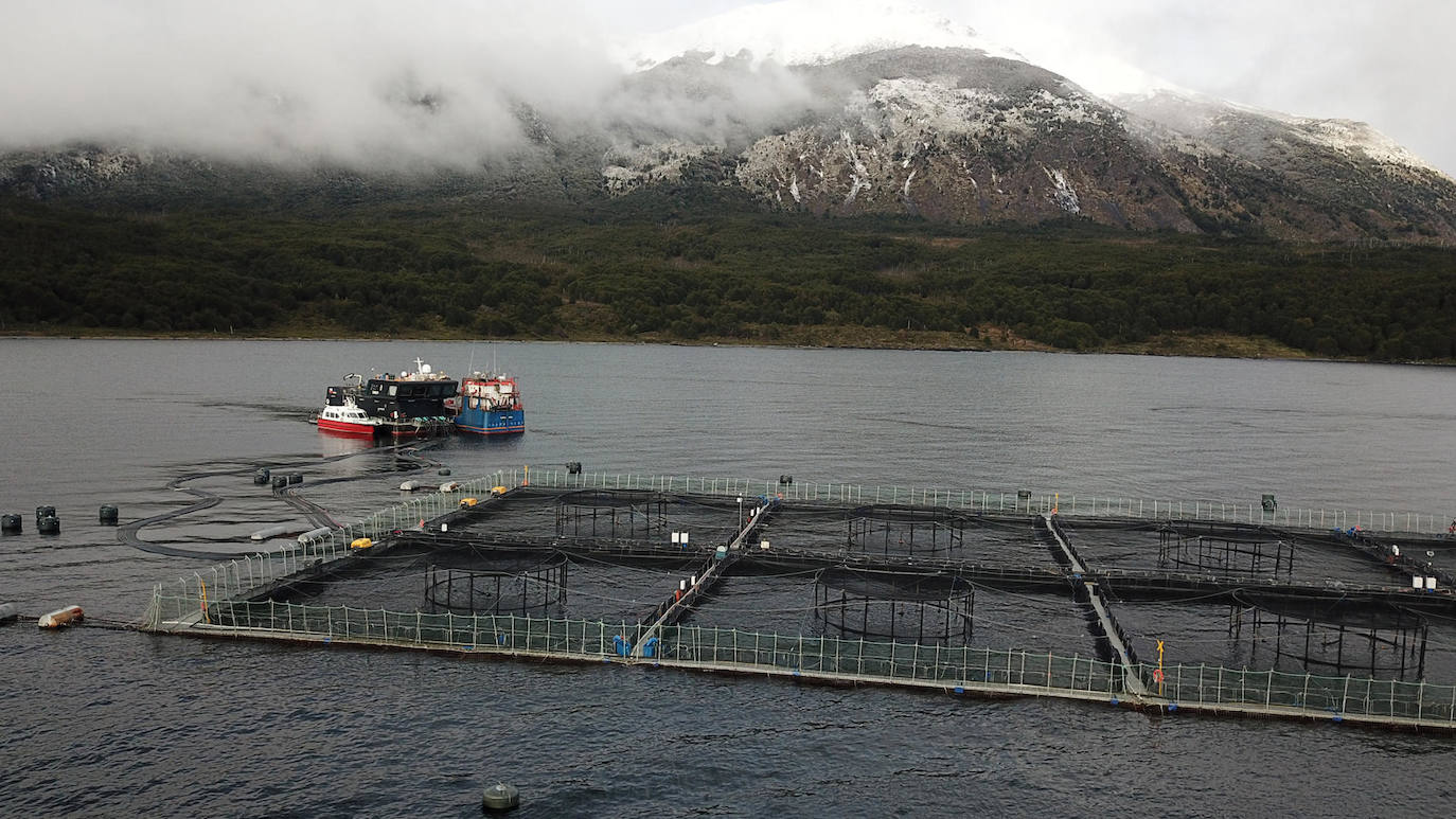 Fotografía aérea de una salmonera, en la ciudad de Puerto Natales (Chile). Magallanes, la región más austral de Chile, lleva años inmersa en una encrucijada por la salmonicultura, una industria que se ha convertido en uno de los motores del país, pero que está en el punto de mira de los ambientalistas por sus altos impactos en los ecosistemas marinos. 