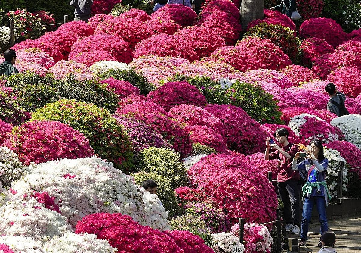 El día, en imágenes
