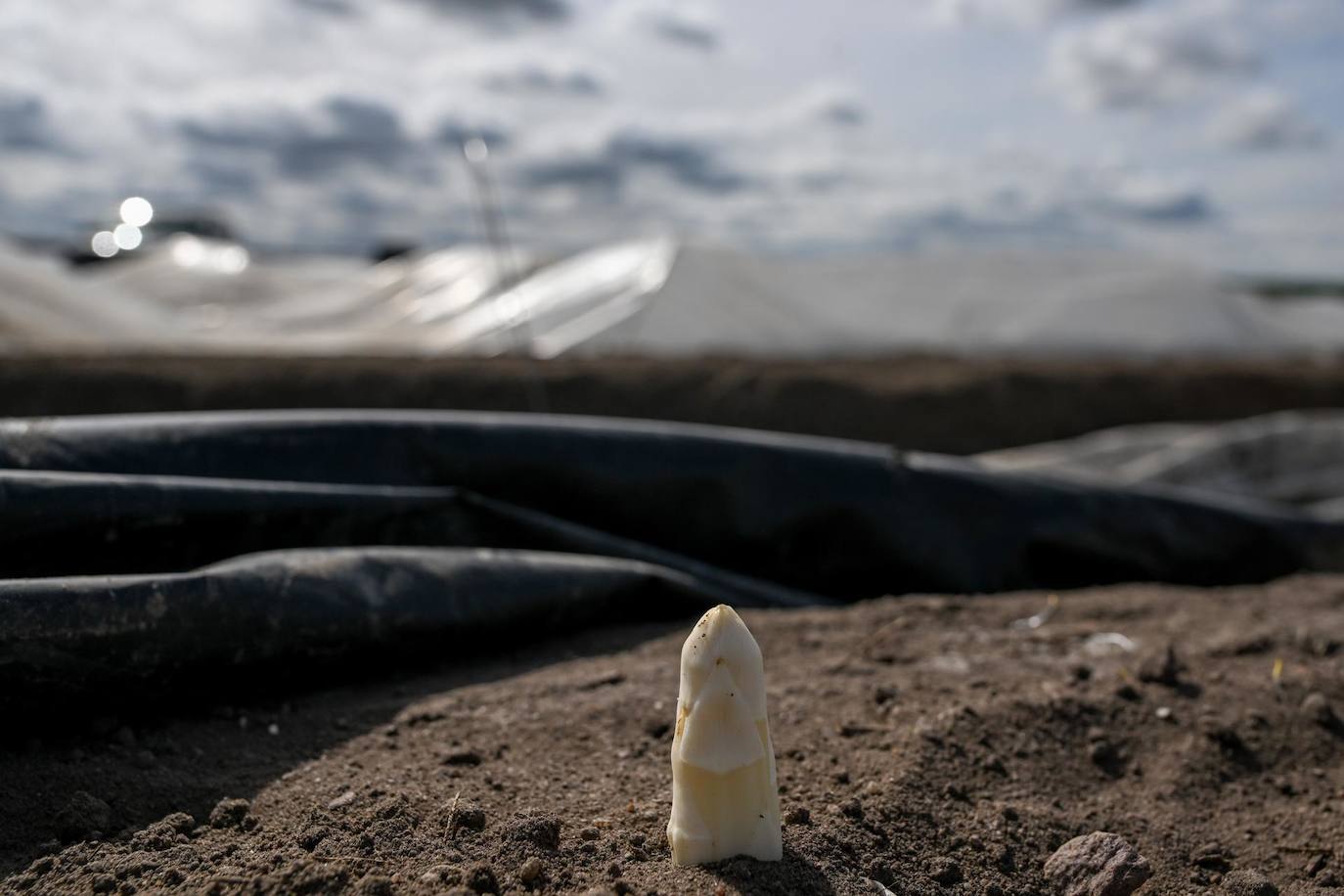 El día, en imágenes