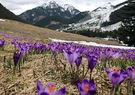 El día, en imágenes