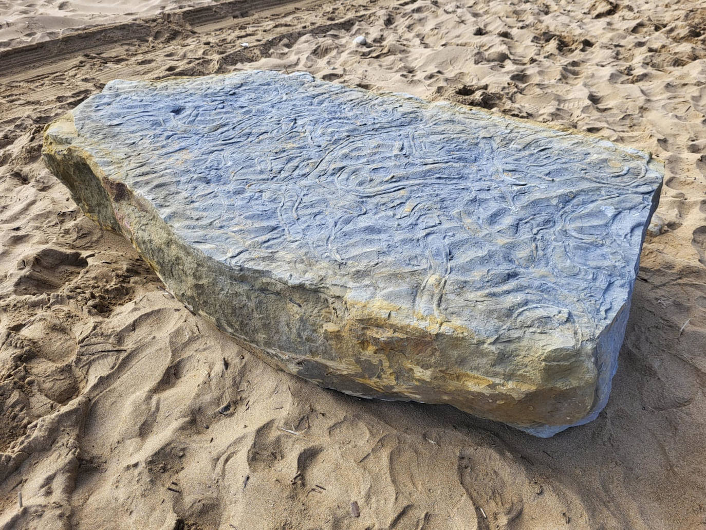 El equipo científico del Museo del Jurásico de Asturias (MUJA) ha recuperado dos grandes bloques de arenisca con galerías de invertebrados jurásicos, con una edad aproximada de 152 millones de años, en los acantilados de playa España, junto a la localidad de Quintes (Villaviciosa). 