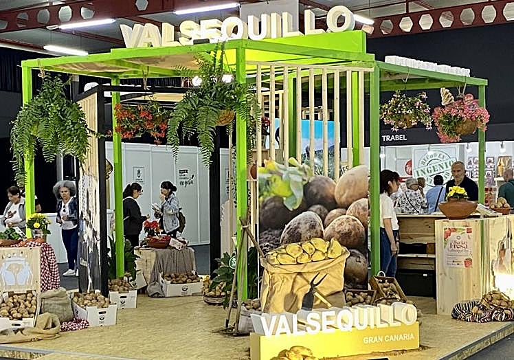 Expositor del municipio de Valsequillo