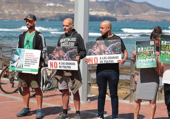 Escasa asistencia en la protesta contra la granja de pulpos de Gran Canaria