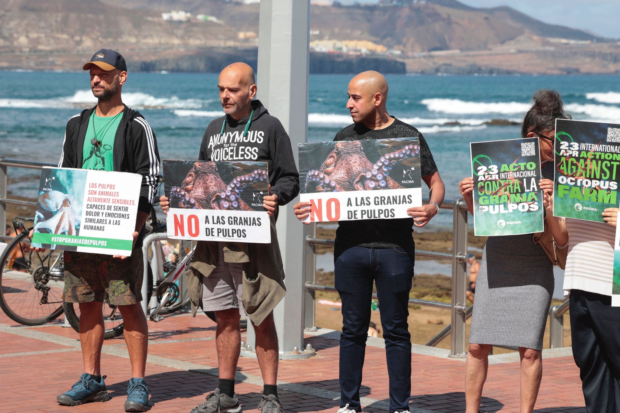Contra la granja de pulpos