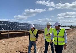 Planta solar sobre terrenos en el municipio de Telde.