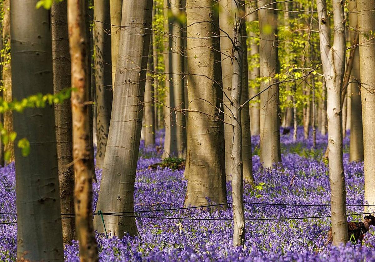 El día, en imágenes