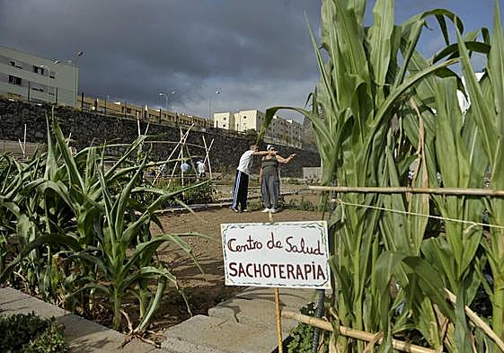 Imagen de archivo del huerto urbano del Lasso.