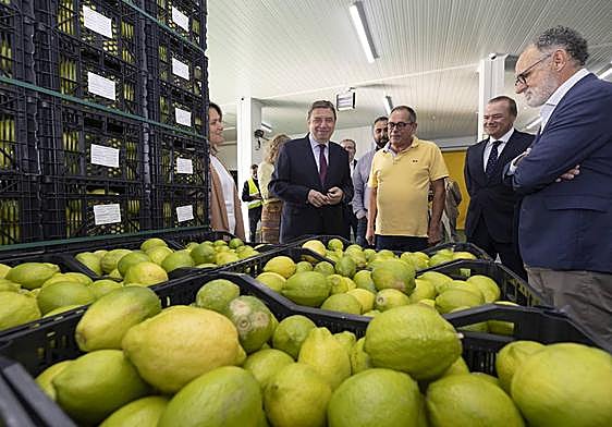 El ministro de Agricultura, Pesca y Alimentación, Luis Planas, visitó Mercalaspalmas, el nodo de abastecimiento de alimentos más grande de Canarias