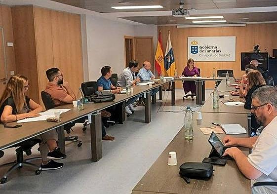 Mesa Sectorial de Sanidad celebrada este viernes.