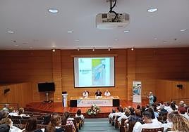 Momento de las jornadas científicas sobre enfermería celebradas ayer en el hospital Insular Materno Infantil.