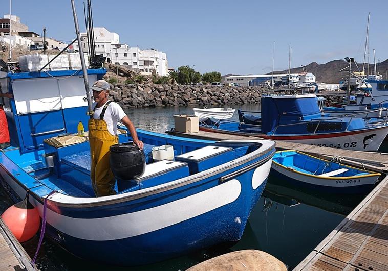 Tuineje abona las ayudas al sector primario, pymes y autónomos